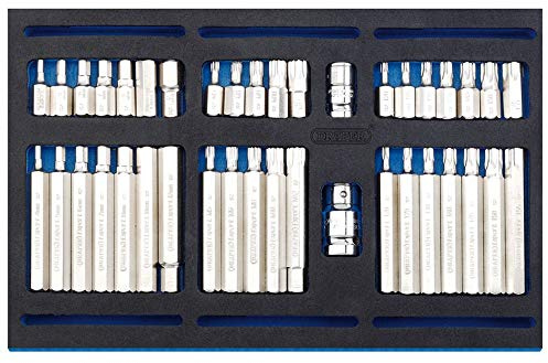 Draper 63515 Screwdriver Insert Bit Set in 1/4 Drawer Eva Insert Tray