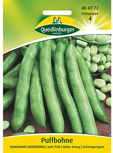Puffbohne, Hangdown Grünkernig