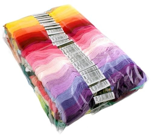 CAFFEN Stickgarn 36/50/100/150/200 Stück Kreuzstich-Stickgarn, Heimnähen, Bastelgarn, 8 Meter pro Strang, Keine Wiederholung der Farben Sticken (Color : 100 Colors No Repeat)