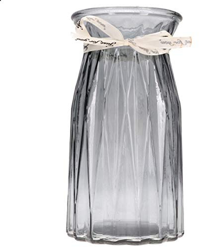 Alipis Vase en Verre Hydroponique Coloré Gris, Conteneur De Fleurs Nordique, Verre Transparent, Décoration Bureau Et Balcon, Vase à Plantes D’intérieur Simple Et Moderne