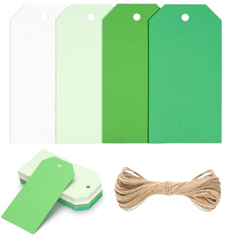 jijAcraft Grün Papier Geschenkanhänger Blanko: 5 x 10cm Kraftpapier Anhänger 60 Stück Papier Etiketten zum Beschriften Geschenkanhänger Tags mit Loch und Schnur für Party Geschenk