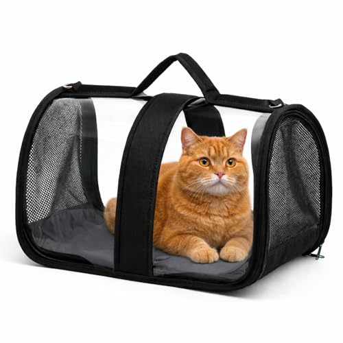 Blue Eyes Transportbox Katze Hund Faltbare Katzentransportbox Transparent Transporttasche für Haustiere im Flugzeug für Haustiere Mittel Kleine Hunde bis 6,5 kg (Schwarz)