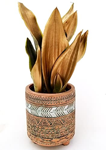 POWERS TO FLOWERS - SANSEVERIA LAURENTII COLOR LIFE ORO IN VASO CERAMICA ATZEK, v12cm diametro, pianta vera
