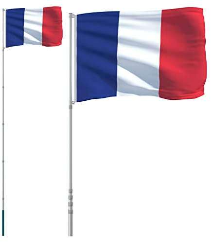 vidaXL Drapeau de la France et mât 5,55 m Aluminium