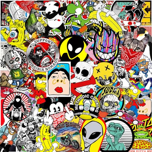Ausikou Skateboard Aufkleber, Stickers für Gitarre Laptop Wasserflaschen Skateboard Snowboard Gepäck Auto Motorrad Fahrrad, Graffiti Sticker(100 Stück)