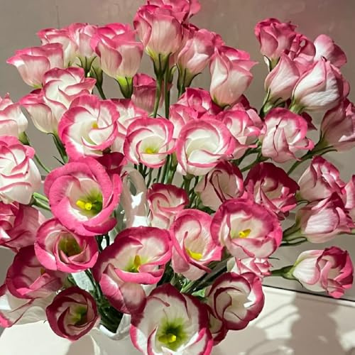 semillas de lisianthus, balcón resistentes jardín decoración 100pcs