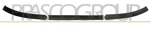 Prasco ci32 21800 Spoiler Anteriore