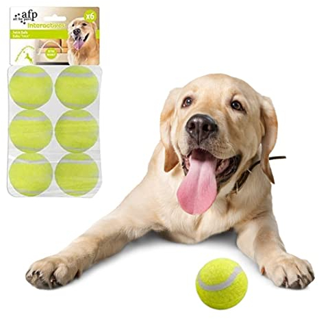 BoT 6X Tennisbälle für große Hunde, Hundespielzeug geeignet für die automatische Ballwurfmaschine für Hunde Ifetch, extra Starke widerstandsfähige Hundebälle (Maxi Tennisbälle 6 x 6,4 cm)