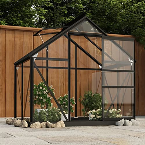 Rantry Invernadero de Vidrio Gris Antracita Aluminio 155x103x191cm Invernadero de Jardín Terraza Tipo Caseta Vivero Casero para Cultivo Plantas Flores Tomates