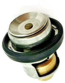 UeWhN Thermostat 72° 17670-87J00 for Szk 4-Takt-Außenborder 40 PS 50 PS 60 PS 70 PS 17670-87J01 5031762 0769639