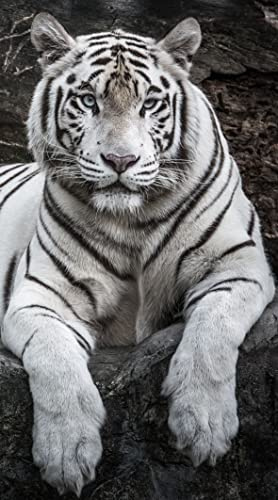 Miracle Home. Serviette de Plage en Microfibre Tigre, 100% Polyester, 75 X 145 Cm. 15084