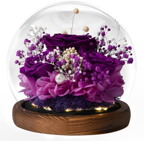 Ewige Rose im Glas mit Licht, Infinity Blumen Konservierte Rosen als Geschenke für Frauen Mama Oma Freundin zum Valentinstag Muttertag Geburtstag Jahrestag Thanksgiving Hauptdekor Weihnachten