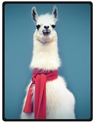 YISUMEI - 150 x 200 cm Decke - Hipster Llama Lama Fleecedecke,Kaschmir-Gefühl Kuscheldecke Geeignet für Bett oder Sofa