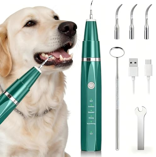 AURIVEE® Ultraschall Zahnreiniger für Hunde & Katzen – Sanfte Reinigung, 5 Stufen, USB-Aufladbar, IPX6 Wasserdicht