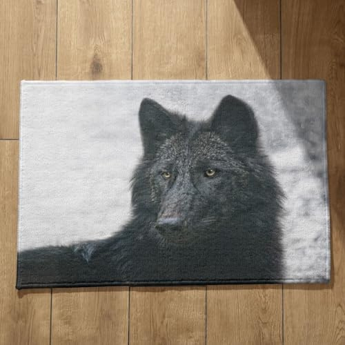 Isdreem Fußmatte Haustür Flache Fussmatte Innen Extra Dünn Wolf Schmutzfangmatte Motiv Fussmatte Selbst Gestalten, 40x60cm