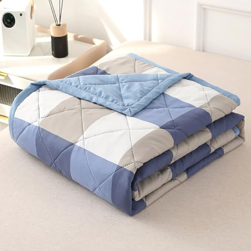 DOTBUY-SHOP Bettüberwurf Steppdecke, Karo Tagesdecke Zweiseitig Leichte Tagesdecken mit Präge Wohndecke aus Gesteppt Bettdecke Bettbezug für Einzelbett Doppelbett (Blau,200x230cm)