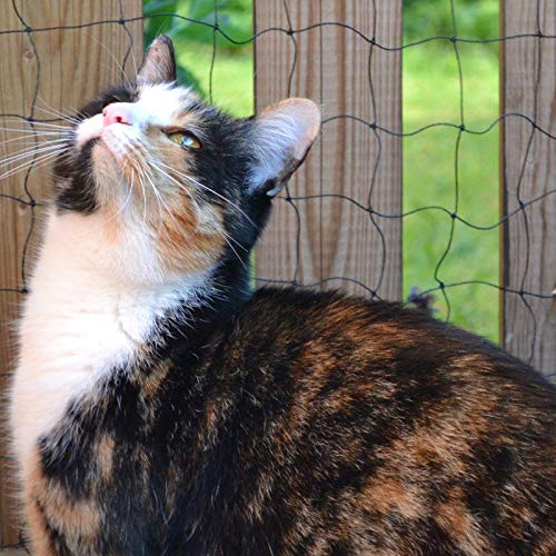 DONET Universalnetz 2 x 3 m Drahtverstärkt, Katzenschutznetz, Vogelschutznetz, Maschenweite 50 mm