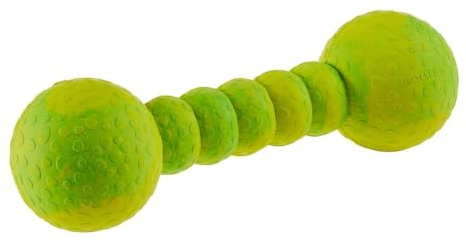 Wolters Cat & Dog Aqua-Fun Gym, Mint, 23 cm, für Erwachsene Hunde, Wasserfest, Gummimaterial, Übung, Hundespielzeug
