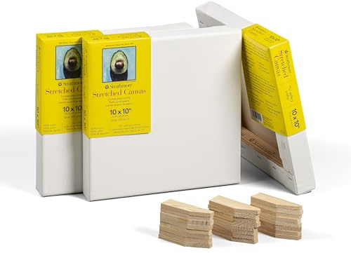Strathmore 300 Series Gallery Stretched Canvas Pack, 10x10 inch, 3 Pack, Art Canvas for Students Professionals