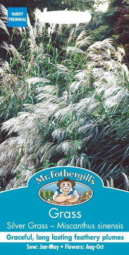Mr Fothergill?s Seeds Ltd 24223 Flower Seeds, Silver Grass-Miscanthus sinensis Early Hybrids