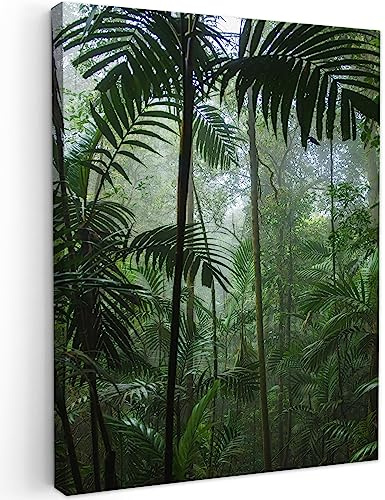 MuchoWow© Impressions sur Toile Deco Tableau Murale Decoration Salon | 50x70 cm - Peinture Tableaux Chambre Toiles Maison Forêt tropicale - Jungle - Arbres - Plantes