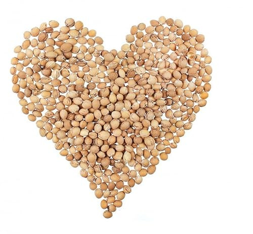 Sonno sano con noccioli di ciliegia sciolti per cuscini termici, 20 kg, imbottitura naturale, trattiene il calore, come termostampo per bambini, anallergico, riscaldato in forno o nel microonde