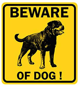 Oedim Señaletica para Pared Cuidado con el Perro Amarillo | 25,00 cm x 25,00 cm | Decoración Pared | Aluminio 3 mm Resistente