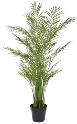Künstliche Areca Palme - Amelie | 180 cm - UV-beständig, feuerhemmend, pflegeleicht, ideal für Wohnung und Terrasse, hohe Qualität, exotisches Ambiente, Blickfang für Innen- und Außenbereiche.