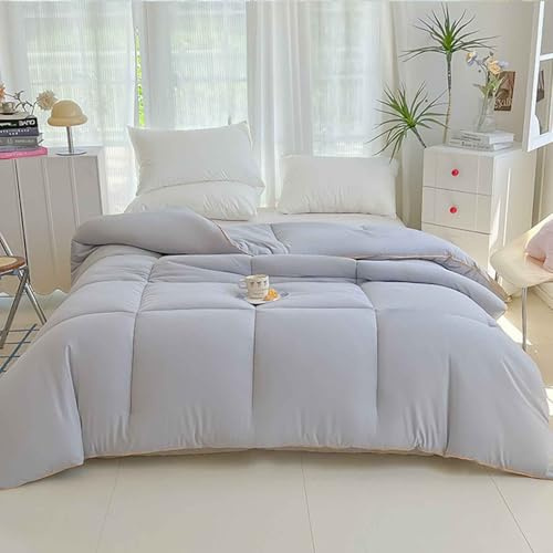 YWQJL Trapunta Invernale in Fibra di Soia, Piumone Invernale Spesso, Coperta Molto Calda E Super Morbida per 2 Persone, Trapunta in Microfibra, Piumone Trapuntato Reversibile(A,220x240cm/5kg)