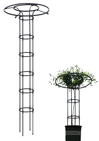 Raxove Soporte de metal para plantas trepadoras de jardín, enrejado de jardín para plantas al aire libre, marco de acero resistente para enredaderas, tomates y otras plantas, altura 210 cm, negro