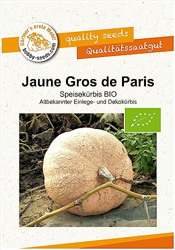 Jaune Gros -Gelber Zentner BIO Kürbissamen von Bobby-Seeds Portion