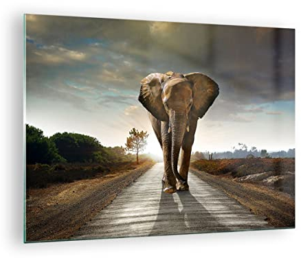 Moderne Impression sur Verre Elephant Route Campagne Image Tableau en Verre Decoration Murale 70x50cm Deco Cadre Salon Chambre Cuisine Horizontal Petit Tableaux Decoratifs Muraux Art GAA70x50-0214