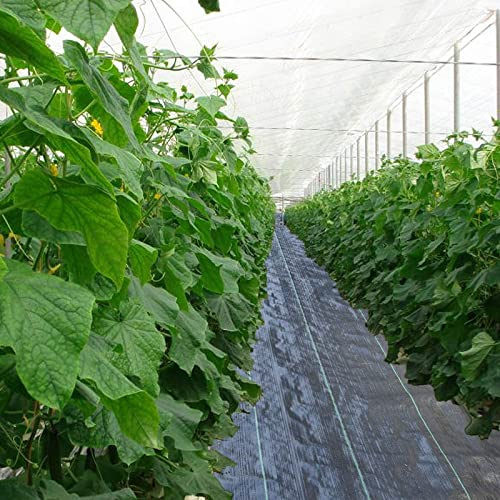 EYRMQWJPC Control de Malas Hierbas, Cubierta Vegetal Tejida de PP for jardín, Membrana mantillo for Plantas, Resistente al desgarro y Alta Resistencia(0.91x15m/3x50ft)