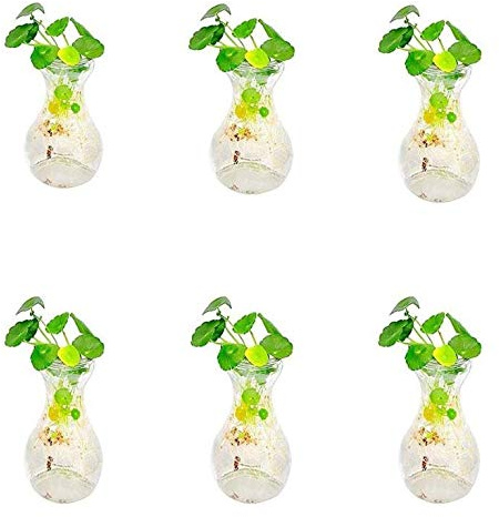 Macetas, macetas for plantas de interior, jarrón, maceta, paquete de 6 plantas transparentes de cristal for terrario, jarrón de cristal transparente, jarrón decorativo de jacinto, macetas, botella hid