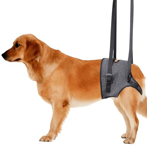 Hundehebegeschirr, Weiche Hunde Tragehilfe, Hundestützgeschirr für die Hinterbeine, Hundetragegurt, Verstellbare Gehhilfe, Sicherheitsunterstützung für behinderte, oder ältere Hunde,26-40kg (XL)