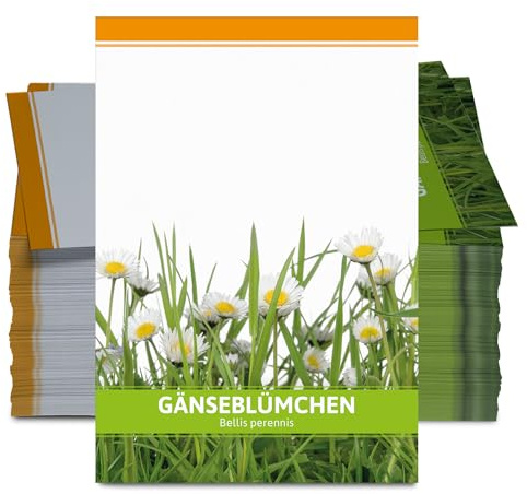 FLORTUS W5247-100x Gänseblümchen für Werbezwecke (100 Tütchen) (Gänseblümchensamen)