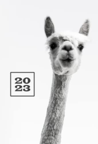 2025: A6 Kalender Mini Planer | 1 Woche auf 2 Seiten | Jan - Dez Wochenplaner | Soft-Cover Alpaka| Kalenderbuch Terminkalender Organizer Wochenkalender Terminplaner Buchkalender Jahresplaner