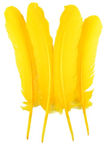 Touch of Nature 4-Piece Turkey Feather for Art and Craft, 12.25 to 13-Inch, Yellow Gold