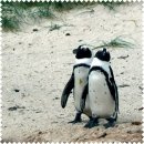 schönes Motiv Microfasertuch Pinguin