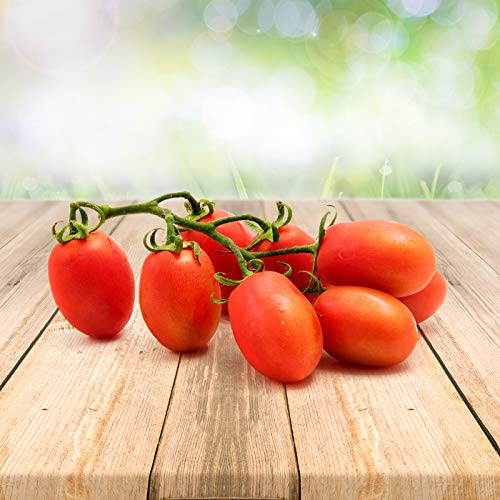 Tomate ''Roma'' 25 x Graines 100% Naturelles sans Propagateurs Chimiques ni Génie Génétique - du Portugal