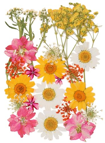 Fiori Essiccati Decorativi, Fiori Stabilizzati, Fiori Secchi per Bomboniere, Pressati Fiori Secchi Veri, Fiori Secchi DIY, Misti Set di Petali di Fiori Pressati (Bouquet di Fiori di Campo, 24 Fiori)