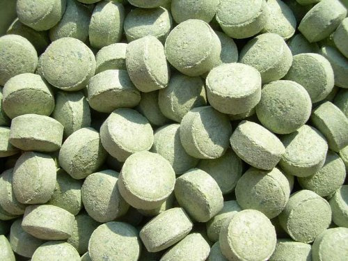 Futtertabletten Grün Boden 500g, Fischfutter
