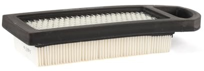 Briggs and Stratton 794422 - Cartuccia filtro aria