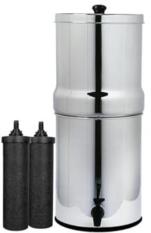 AquaEasy Edelstahl-Schwerkraft-Wasserfiltersystem (2,25 Gallonen) mit 2 x Aktivkohlefilter, Aufsatz-Wasserfiltersystem (Lite)