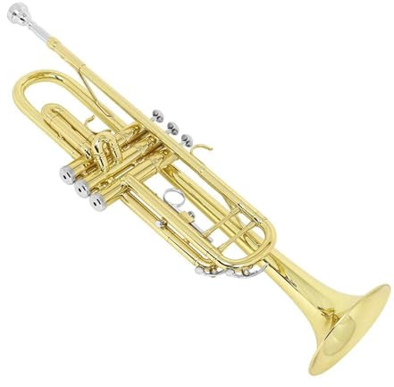 Bb Standard Trompetenset Handschuhe Goldlackiertes Trompeteninstrument Für Anfänger(Gold)