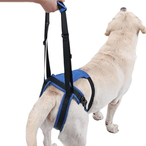 Supporto Per Zampe Posteriori Cane | Fascia Sling Per Piccoli Animali Sostegno Zampe | Attrezzo Sollevamento Anziani Animali Anca Posteriore Per Stare In Piedi Deambulazione