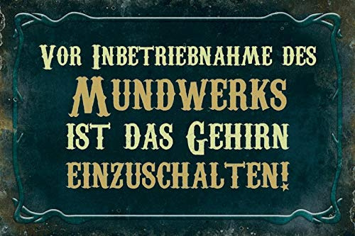 Schatzmix Inbetriebnahme des Mundwerks ist das Gehirn einzuschalten Metallschild Wanddeko 20x30 cm tin Sign Blechschild, Blech, Mehrfarbig