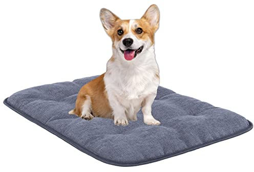 MyBestBuddy Hundekissen Pik grau 60x40 cm S, allergikerfreundlich (100% Polyester) - rutschfest, 40°C waschbar mit flauschigem Stoffbezug - Hundematte BZW. Hundebett für kleine Hunde, 60 x 40 cm