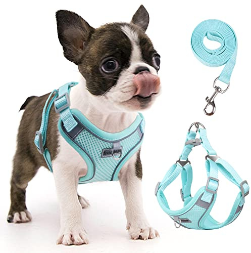 Rennaio Harnais Anti-tir pour Chien, Réglable avec 2 Clips de Laisse, Réfléchissant pour Chiot de Petite et Moyenne Taille (Cyan, S)