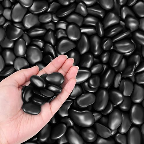 Winter Shore 1,35 kg Galets Noirs Décoratifs - 2,5-3 cm Billes Chinoises Plates - Gravier Aquarium, Aménagement Paysager, Terrarium, Succulentes, Vase - Cailloux de Rivière Tamisés & Polis